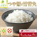 【ふるさと納税】 【 定期便 】つや姫 & 雪若丸 4kg ( 2kg×2品種 ) 6回 お届け令和6年産 新米 先行予約 米 コメ こめ おこめ お米 精米 ブランド米 食べ比べ ごはん 白米 ご飯 おにぎり 弁当 2kg 袋 のし 贈答 お取り寄せ 食品 送料無料 【 山形県 天童市 】