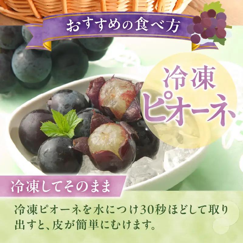 【山梨県山梨市産】ピオーネ 約1kg 種なしピオーネ ぶどう