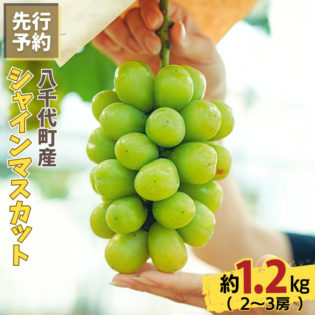 【ふるさと納税】【選べる内容量】八千代町産 シャインマスカット 約1kg / 約1.2kg ( 2～3房 ) 【 2026年8月下旬以降発送】 産地直送 フルーツ ぶどう 果物 ブドウ 葡萄 マスカット