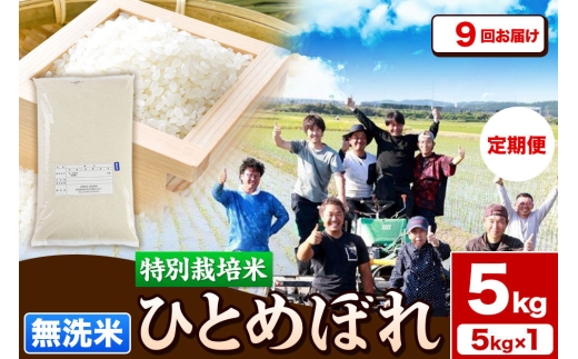 《定期便9ヶ月》令和7年産【無洗米】特別栽培米 ひとめぼれ 5kg 秋田県産 [ひとめぼれ 米 お米 白米 精米 無洗米 特別栽培米 ブランド米 食卓 秋田県産 秋田県 由利本荘市]