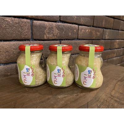 ふるさと納税 飛騨市 野菜こうじ　しょうが　×6本セット |  | 01