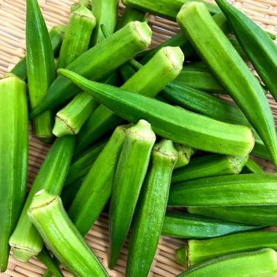 ふるさと納税 田野町 ≪先行受付≫【四国一小さなまちのオクラ】黒岩さん家のオクラ 10袋 |  | 02