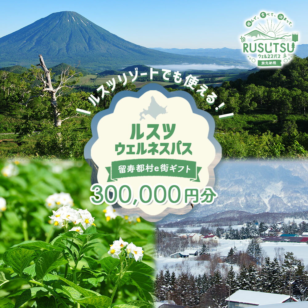 【ふるさと納税】留寿都村e街ギフト ルスツウェルネスパス 300,000円分【99107】