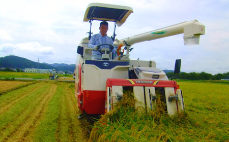 [定期便 5kg×3ヶ月] 県認証 特別栽培米 コシヒカリ5kg 合計15kg 無洗米 新潟県認証 令和7年産 新潟県三条市産 こしひかり 3か月連続でお届け 【031S022】