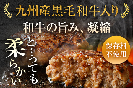 九州産黒毛和牛入り 柔らか牛豚合挽ハンバーグ 120g×20個入