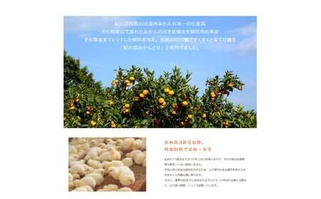 【紀の国みかんどり使用】鶏鍋2～3人前セット(B1118-1)