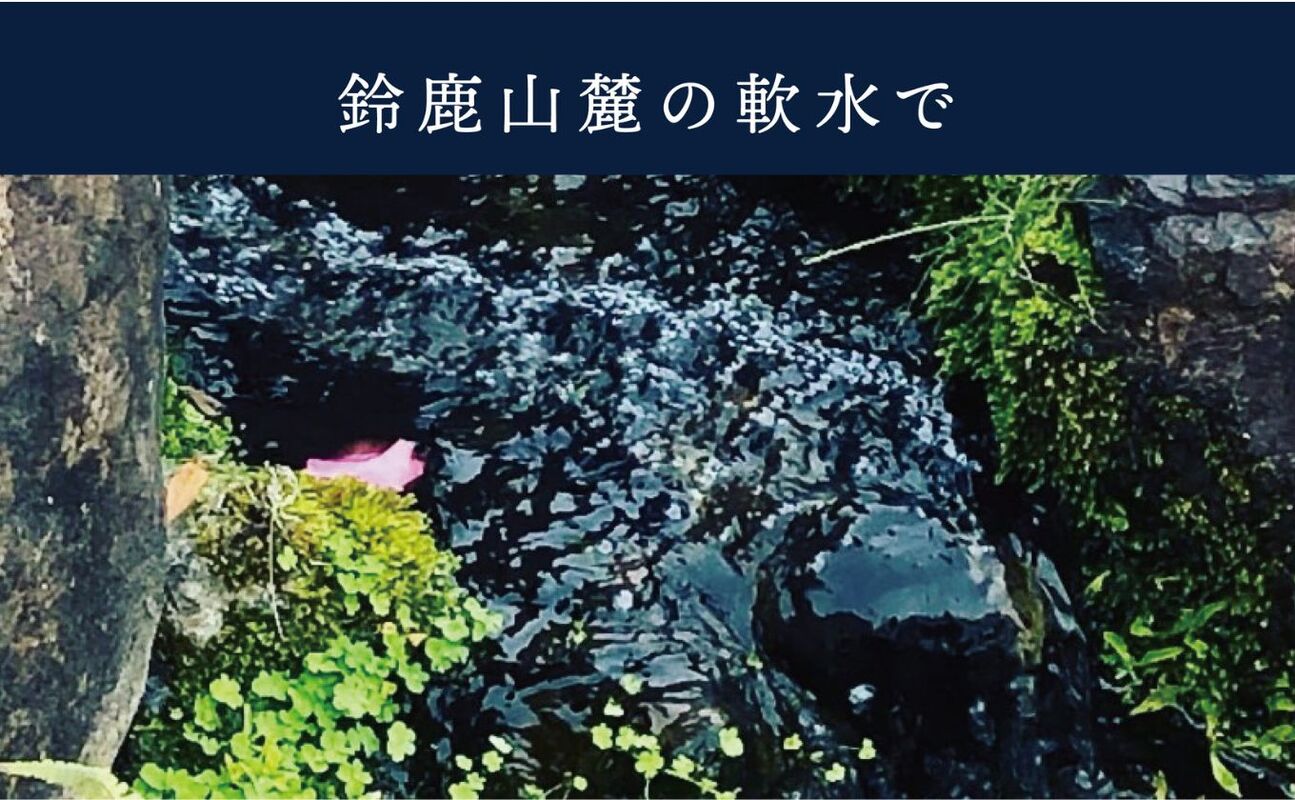 オーダーメイド スーツ （Napolena Dresser メリノウール使用）【2着】お仕立て券 御幸毛織 【オーダー メンズスーツ オーダースーツ ビジネススーツ 高品質 日本製 高級 三重県 四日