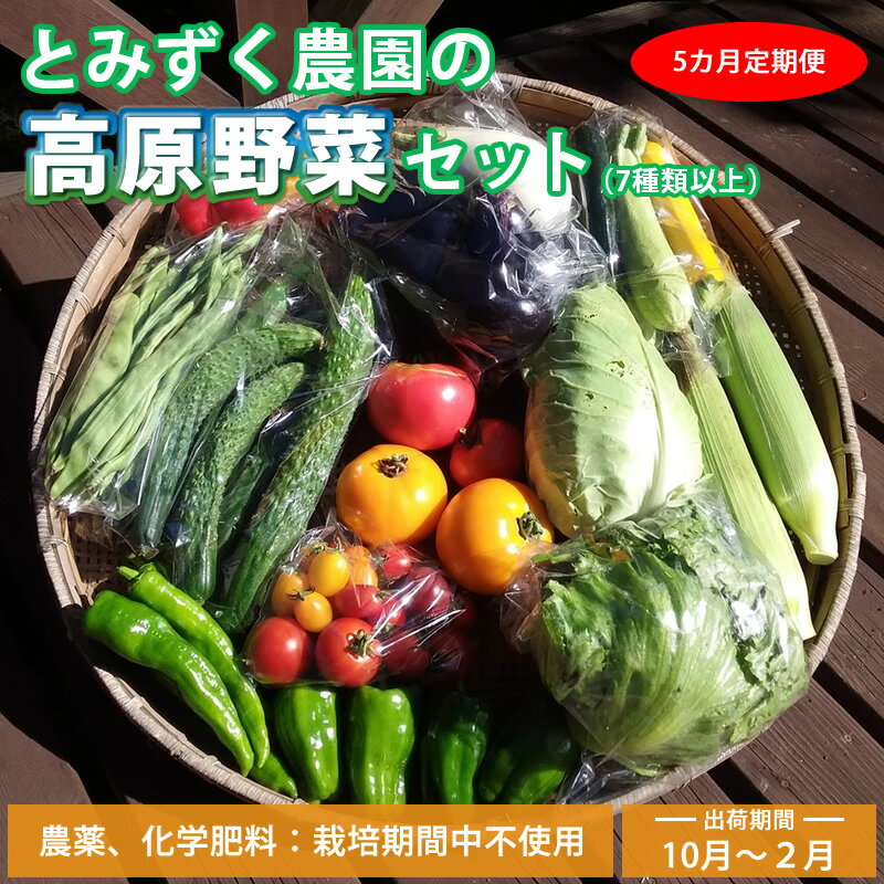【ふるさと納税】【5回定期便・10～2月出荷】産地直送！高原の秋冬野菜セット(北海道・沖縄県・離島は配送不可) 長野 信州 無農薬 旬 季節 新鮮 詰合せ 直送 先行予約＜出荷時期2026年10月17日以降出荷開始～2027年2月28日出荷終了＞