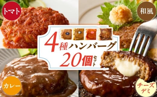 【2026年3月お届け】ハンバーグ食べ比べ20個セット _ ハンバーグ 4種 20個 チーズデミ 和風 トマトソース カレーソース 各5個 冷凍 温めるだけ 湯煎 電子レンジ 個包装 小分け 食べ比べ チーズインハンバーグ 夕食 おかず お弁当 簡単調理 時短 お取り寄せ グルメ 福岡県 久留米市 送料無料 _Ax405-m03_RCF0600