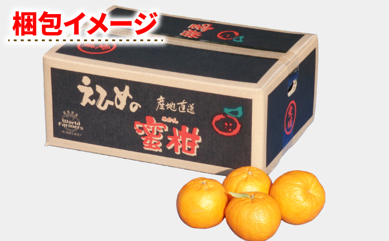 ぽんかん 5kg ワールドファーマーズ 先行予約 ポンカン みかん mikan 愛媛ミカン 愛媛蜜柑 愛媛みかん 果物 くだもの フルーツ 柑橘 甘い ジューシー 果肉 みかん 蜜柑 数量限定 産地直