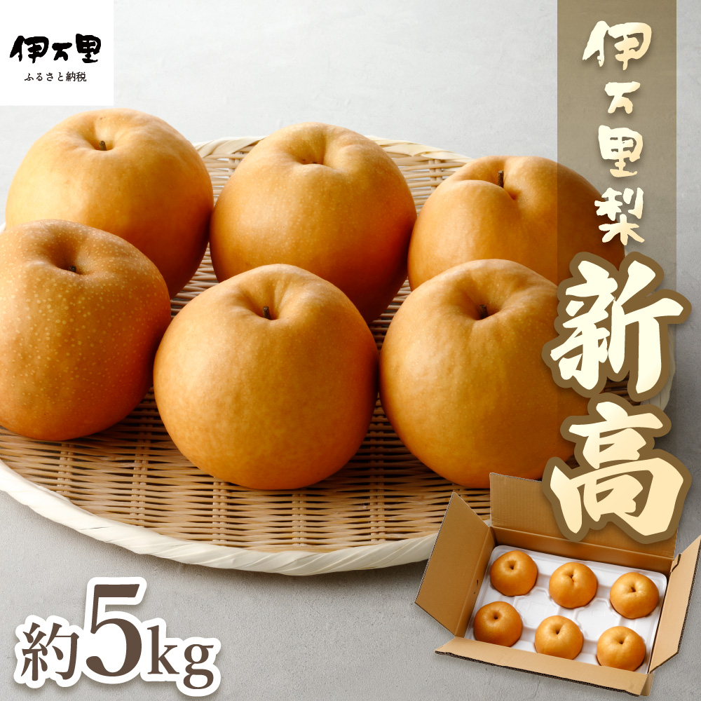 【2026年産先行予約】伊万里梨「新高」 5kg 大型種 178-B942