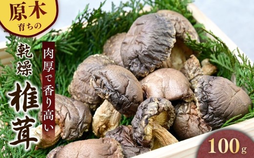 乾燥椎茸 しいたけ 【原木】100g　龍ノ傘 |しいたけ シイタケ 乾しいたけ 干ししいたけ 干し椎茸 干しシイタケ 100g 龍ノ傘 国産 乾燥椎茸  無添加 旨味 濃厚 出汁 だし 和食 煮物 健康 食材 常温保存 長期保存 高級 食品 限定100個 希少 お取り寄せ グルメ 龍の傘農園 茨城県 龍ヶ崎市