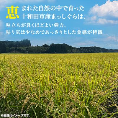 ふるさと納税 十和田市 【令和7年産】青森県産まっしぐら30kg(玄米) |  | 02