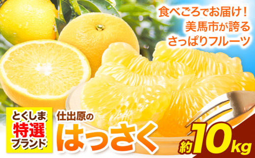 ＜ 先行予約 ＞ 八朔 はっさく 10kg 《2025年2月上旬‐2025年3月上旬頃出荷》仕出原八朔生産組合 徳島県 美馬市 果物 くだもの フルーツ 特選 ゼリー ジュース ピール