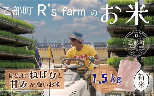 
            ＜北海道の米（1.5kg）～もっちり柔らか！若い農家が作る新米～＞米 国産米 北海道 道産 道産米
          