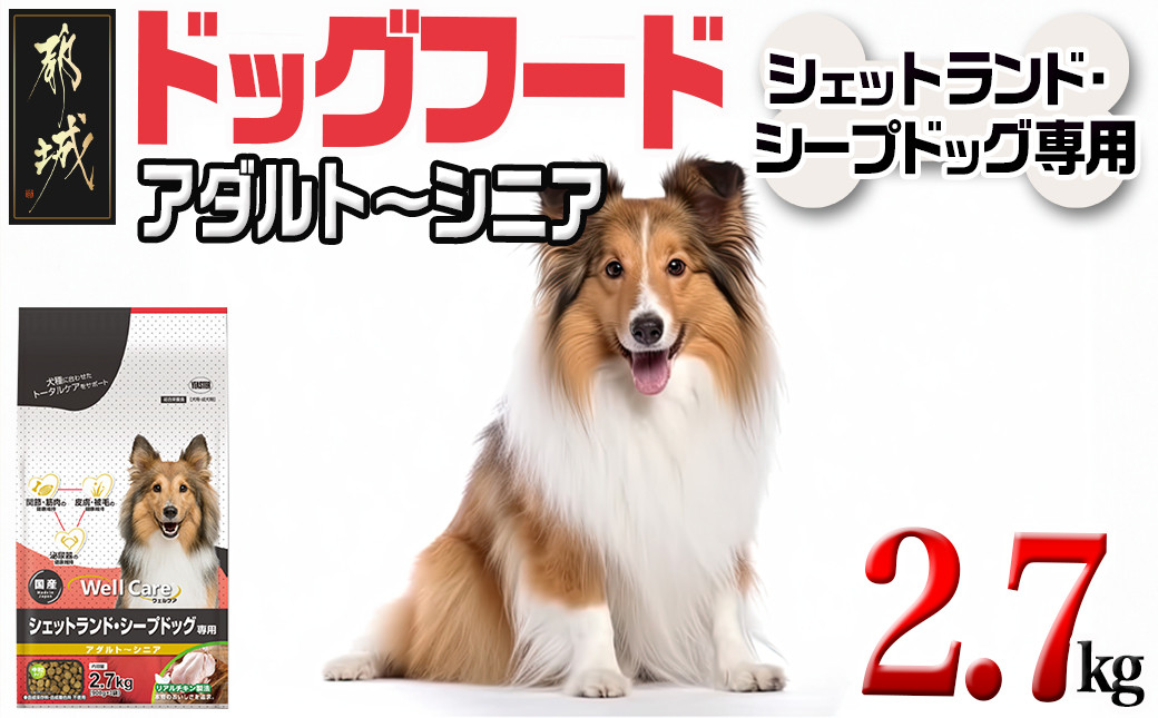 
ドッグフード(シェットランド・シープドッグ専用)アダルト～シニア2.7kg_LF-3312_(都城市) 国産総合栄養食 ドライフード 中粒タイプ 健康維持 犬種別 犬用フード シェットランド・シープドッグ専用
