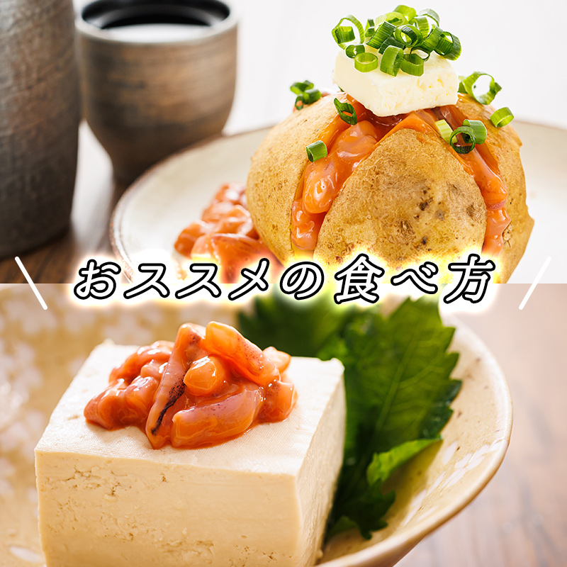 【定期便 3ヶ月連続】北海道産 いか塩辛 130g×5パック 釧路港＜パック＞ | 塩辛セット 塩辛 烏賊 いか イカ セット 北海道 昆布のまち 釧路町 ご飯 米 無洗米 との相性抜群 冷凍 漬魚_