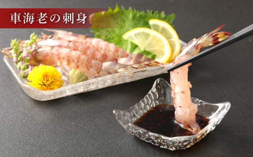 原点の車海老 ｢急速冷凍｣ 1kg (32～40尾) 500g×2パック 【2026年10月上旬より順次発送予定】