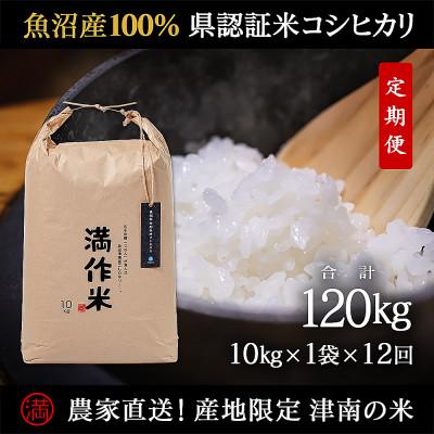 ふるさと納税 津南町 【毎月定期便】県認証特別栽培魚沼産コシヒカリ10kg(10kg×1袋)×12回 計120kg全12回