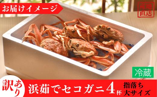 【訳あり 浜茹で セコガニ 香住産 大サイズ4匹入り 冷蔵】【先行予約】11月中旬以降順次発送 カニの本場 香住 濃厚なかにミソとやみつきになる内子、外子が絶品です 訳あり理由：指落ち1～2本 大人気