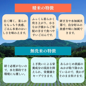 令和7年産 先行予約 新潟県上越柿崎区厳選 こしひかり 精米 30kg 3か月定期便 上越市 精米 米 コメ コシヒカリ ブランド米