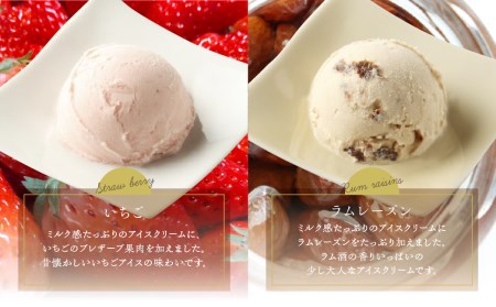 【牧成舎】ミルクの旨みたっぷり アイスクリーム 4種12個｜アイス