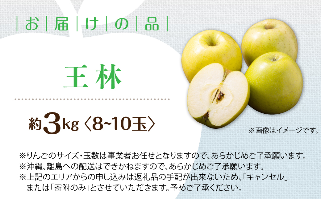 【先行予約】＜2026年11月中旬よりお届け＞北海道壮瞥町　りんご　品種名「王林」8～10玉約3kg SBTF024