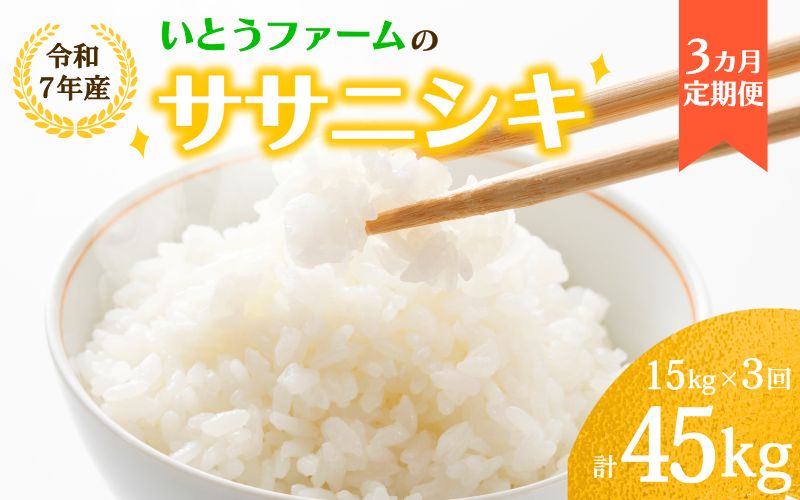 【3ヶ月定期便】いとうファームの 令和7年産「ササニシキ」15kg×3回 計15kg / 米 お米 精米 白米 ご飯  米定期便 産地直送 【itofarm016】