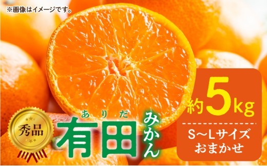 
                  【2026年先行予約】【ふるさと納税】  秀品 有田みかん 和歌山県産 S ～ Lサイズ 大きさ お任せ 容量 約5kg 発送時期 11月 ～ 1月 【ミカン 蜜柑 柑橘 温州みかん 和歌山 有田】_DZ6013n
                