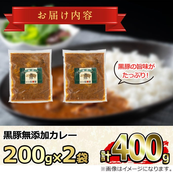 【0075132a】<おためし>鹿児島黒豚無添加カレー(計400g・200g×2P) 黒豚 豚肉 ぶた肉 カレー カレーライス かれーらいす 惣菜 【鹿児島ますや】