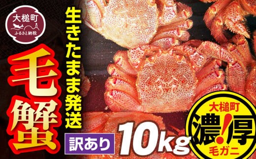 
                  【令和9年発送先行予約】【訳あり】三陸産！活毛ガニ 10kg【08】【2027年2月～4月発送】
                