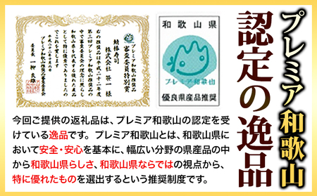寿司 紀州和歌山の棒鯖寿司 1本