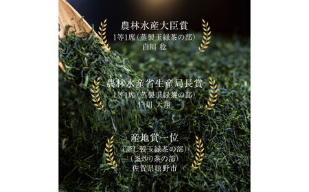 【ギフト箱・のし】白川家陽香やぶきた3袋セット 計300g / お茶 日本茶 嬉野茶 緑茶 / 佐賀県 / 白川製茶園 [41AIAB011]