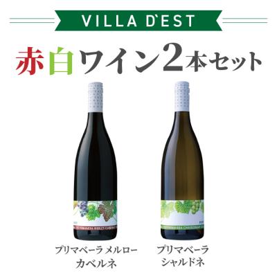 ふるさと納税 東御市 日本ワインコンクール受賞!東御市産ワイン 赤白2本セット(ヴィラデストワイナリー)