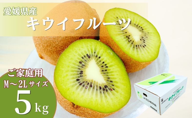【2027年先行予約】キウイ 愛媛 グリーンキウイ 5.0kg ご家庭用【2027年1月上旬以降発送】 数量限定 伊予市｜B543 5.0kg
