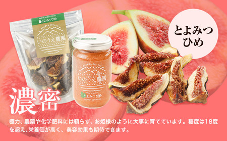コンフィチュール＆セミドライフルーツ とよみつひめ いのうえ農園 株式会社アジア開発貿易《30日以内に出荷予定(土日祝除く)》福岡県   ドライフルーツ いちじく イチジク 無花果 フルーツ くだもの