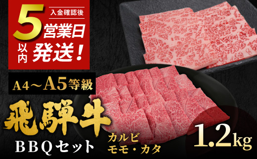 
                  飛騨牛 A4~A5等級 飛騨牛 BBQセット 計1.2kg (カルビ+もも・カタ焼肉用) 岐阜県産 A4 A5 焼肉 詰め合わせ 黒毛和牛 カルビ もも かた 赤身 牛肉 牛 国産 お取り寄せ 自宅用 和牛 大容量 小分け 最短発送 肉のひぐち
                