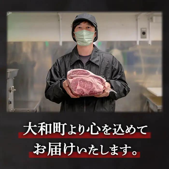 豚ロース 味噌漬け 薄切り＋厚切りセット ＜計1kg(各500g)＞ にんにく風味 味噌だれ 味付き 豚肉 肉 お肉 スライス BBQ 焼肉 冷凍 【株式会社バリューネットワーク】ta618