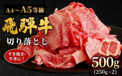 【9月発送】 飛騨牛 A4~A5等級 切り落とし 500g 岐阜県産 A4 A5 すき焼き 牛丼 炒め物 おかず 肉じゃが カレー 黒毛和牛 牛肉 牛 国産 お取り寄せ ごちそう 自宅用 部位おまかせ 和牛 訳あり 小分け 最短発送 肉のひぐち