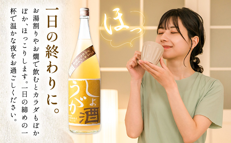 酒 しょうが酒 生姜 お酒 720ml 酒のねごろっく《2025年11月上旬-2026年4月末頃に出荷予定(土日祝除く)》和歌山県 岩出市 お酒 さけ アルコール しょうが 日本酒 お取り寄せ