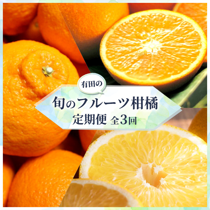 【定期便】有田の人気の旬のフルーツ柑橘定期便全3回
※