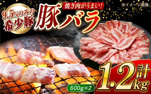 大西海SPF豚 バラ（焼肉用）計約1.2kg（600g×2パック）長崎県/長崎県農協直販 [42ZZAA092] 肉 豚 ぶた ブタ 豚バラ 焼肉 小分け 定番 西海市 長崎 九州