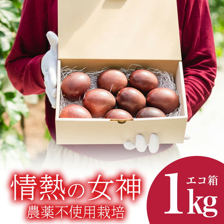 【ふるさと納税】【先行予約 2026年発送】沖縄情熱農園 農薬不使用栽培 パッションフルーツ 「情熱の女神」 1kg （エコ箱） 沖縄 家庭用 甘味 酸味 追熟 フルーツ 果物 トロピカル 南国 スイーツ デザート βカロテン ビタミン 葉酸 国産 糸満市 送料無料