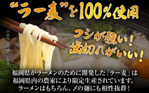 福岡限定 はかた地どり美人水炊きセット 2～3人前 お取り寄せグルメ お取り寄せ お土産 九州 福岡土産 取り寄せ グルメ MEAT PLUS CP039