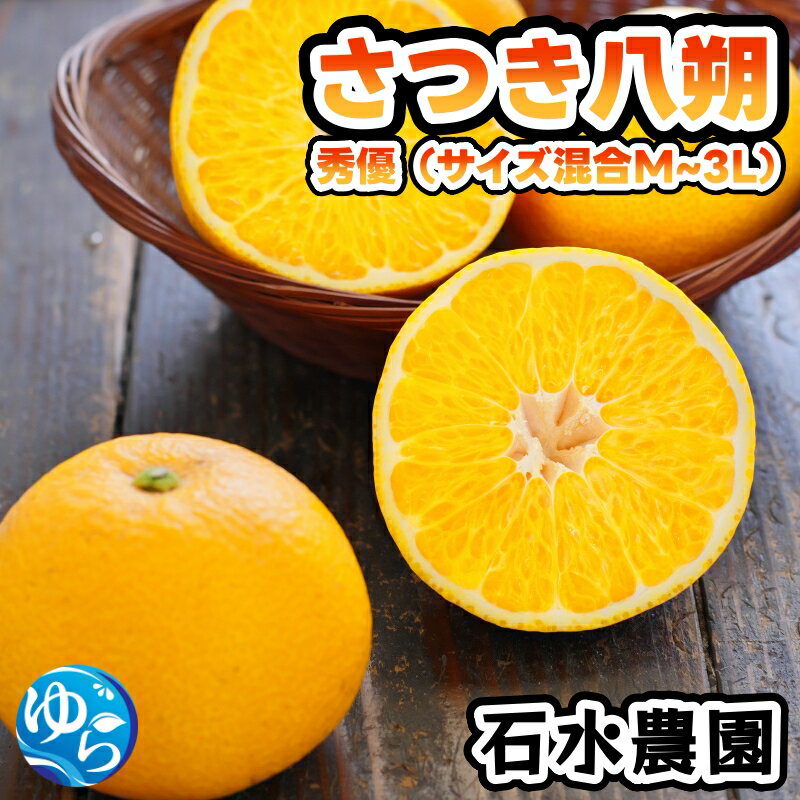 【ふるさと納税】 さつき 八朔 10kg 秀優品 (サイズ混合) / はっさく みかん 柑橘 晩柑 和歌山 由良町 甘い 農家直送 ※2026年3月中旬から4月中旬に順次発送