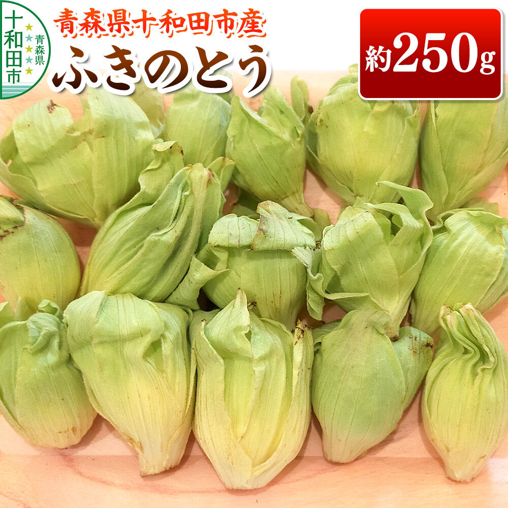 【ふるさと納税】【2027年3月発送・先行受付】山菜 ふきのとう 約250g 青森県十和田市産 [旬のもの 山菜 春 フキノトウ 蕗]