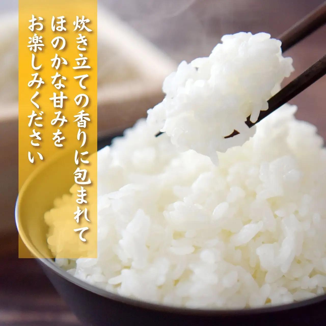 精米 奥越産コシヒカリ10㎏（精米 5㎏×2）先行予約