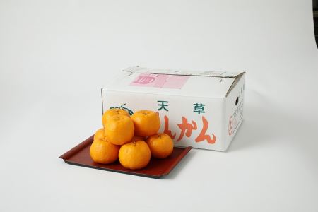 S040-007A_農家の手摘み100年ポンカン 約5kg〈先行受付〉
