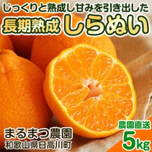 長期熟成しらぬい 約5kg 濃厚なコクと甘さ 農家直送 和歌山県産 【2025年5月中旬頃順次発送】