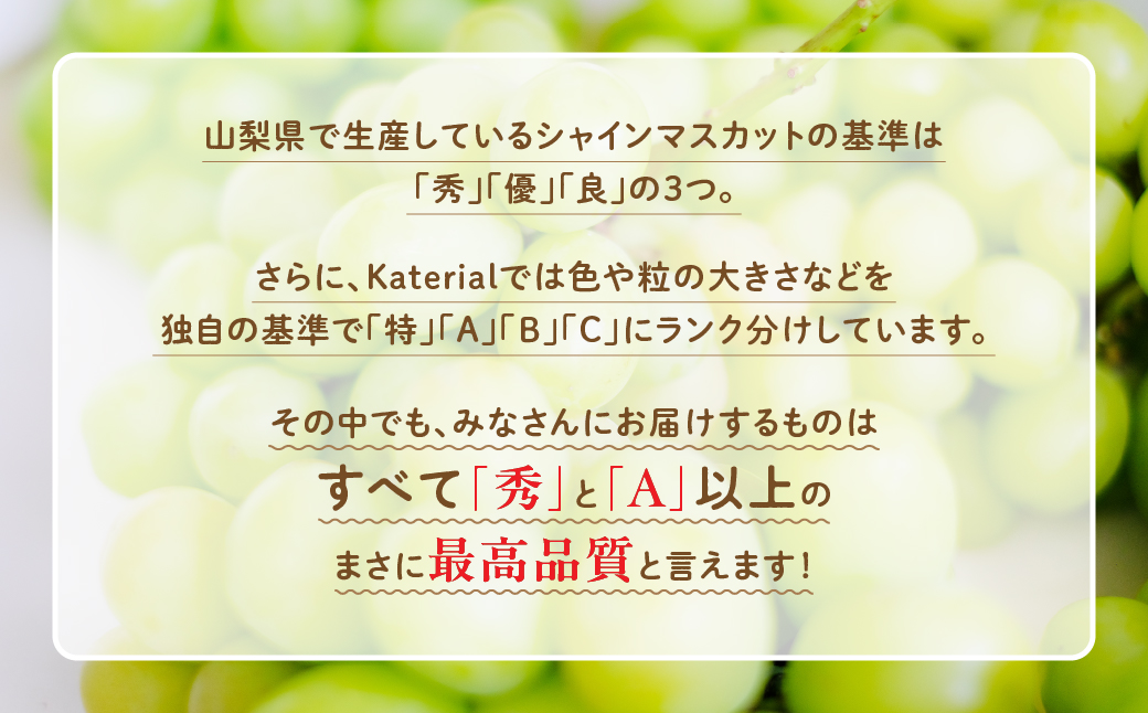 【2025年発送】シャインマスカット　2.0kg相当